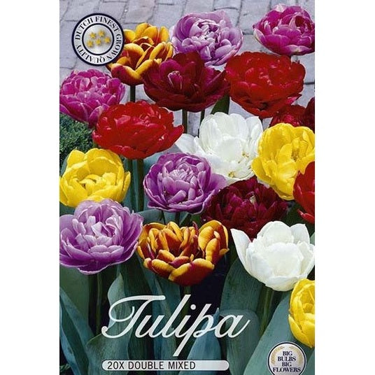 Tulpan Dubbel Mix 15-pack